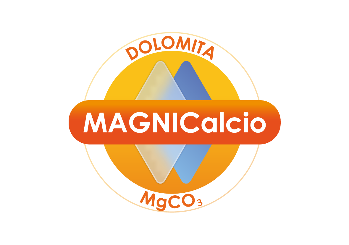 Magnicalcio